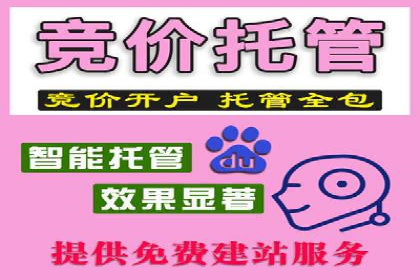 某知名企业竞价推广策略全解析